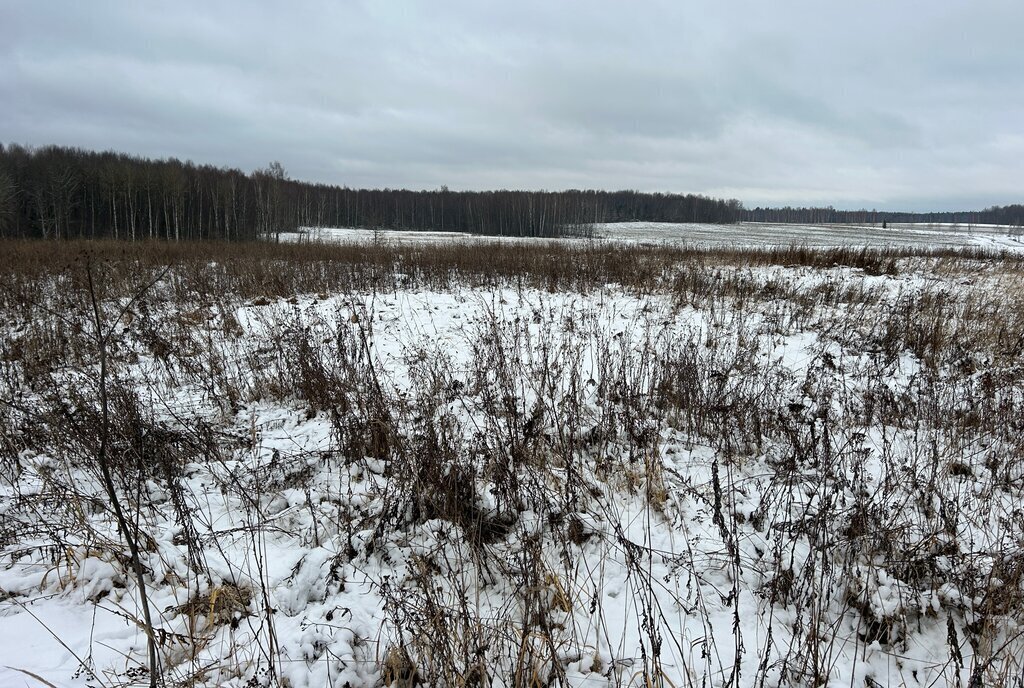 земля р-н Александровский д Данилково муниципальное образование Каринское, Лизуновский сельский округ, улица Комарова фото 17