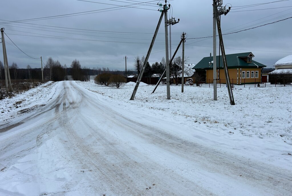 земля р-н Александровский д Данилково муниципальное образование Каринское, Лизуновский сельский округ, улица Комарова фото 30