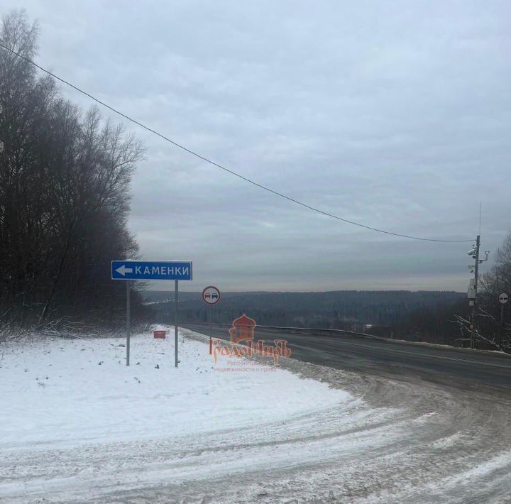 земля городской округ Сергиево-Посадский д Каменки фото 8