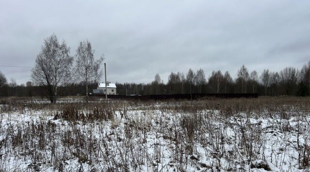 д Данилково Каринское муниципальное образование, Лизуновский сельский округ фото