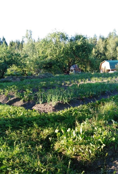 дом р-н Окуловский ж/д_ст Торбино ул Некрасова Боровенковское с/пос фото 24