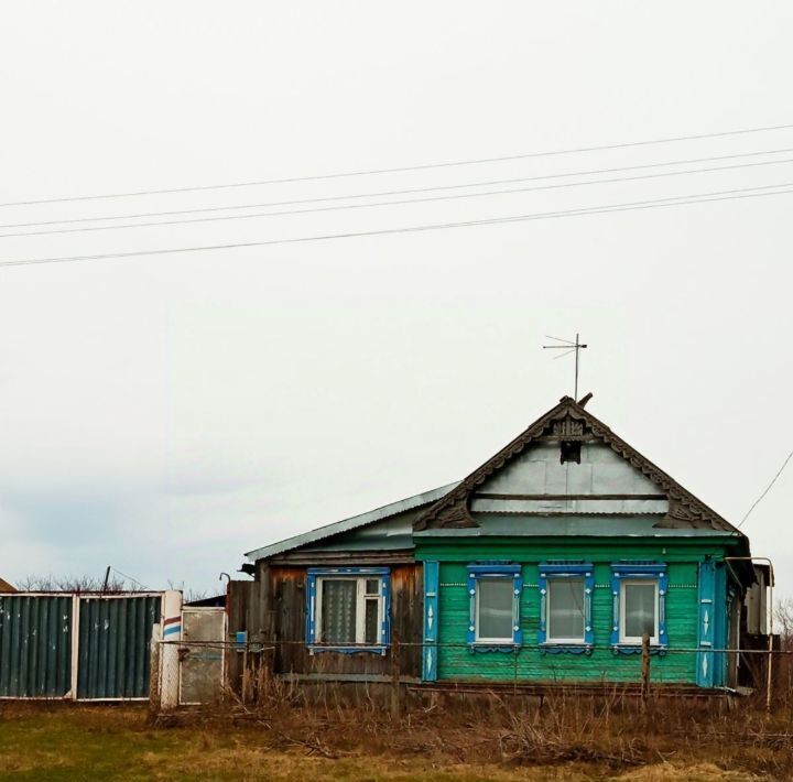 дом р-н Цильнинский с Новое Никулино ул Центральная Новоникулинское с/пос фото 2