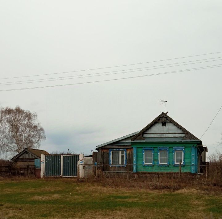 дом р-н Цильнинский с Новое Никулино ул Центральная Новоникулинское с/пос фото 3