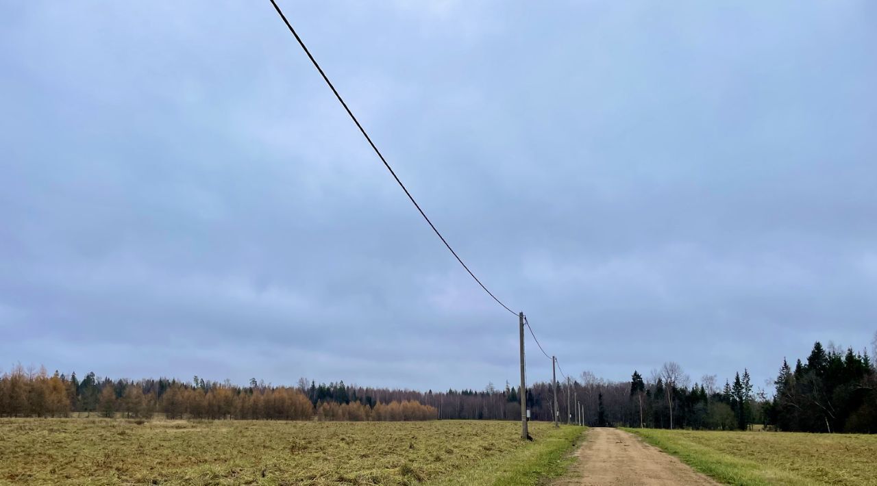 земля городской округ Дмитровский Лесная опушка кп, 12 фото 5