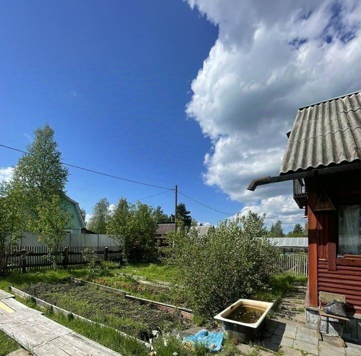 дом р-н Приморский снт Судоремонтник 19-я линия фото 9