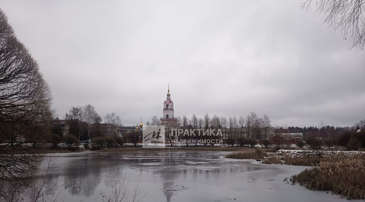 квартира городской округ Пушкинский п Лесной ул Титова 1 фото 11