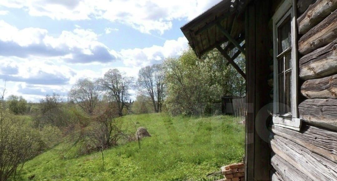 земля р-н Волосовский д Мышкино Сабское с/пос, ул. Цветочная фото 7