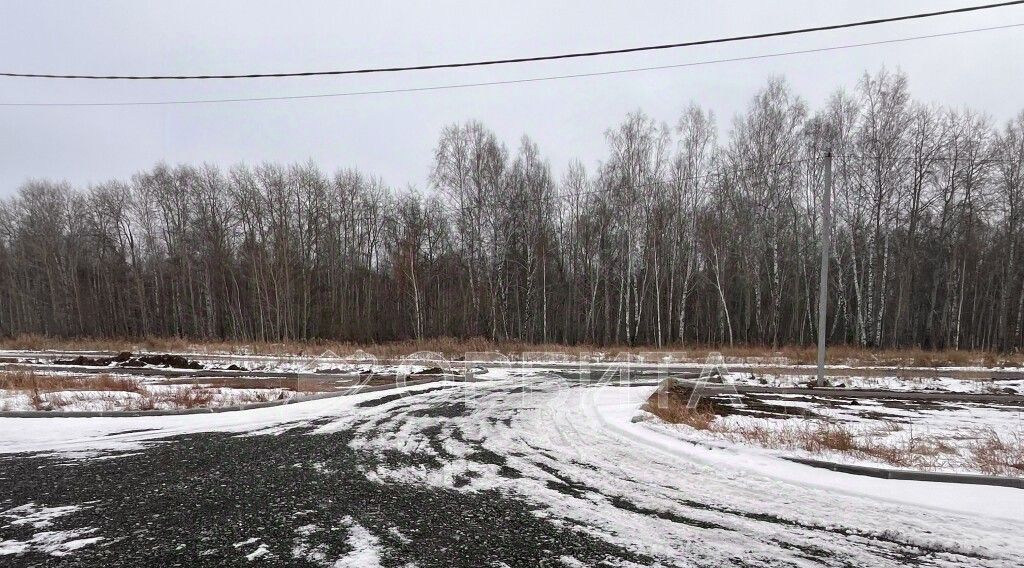 свободного назначения р-н Тюменский д Падерина ул Андреевская 83 фото 5