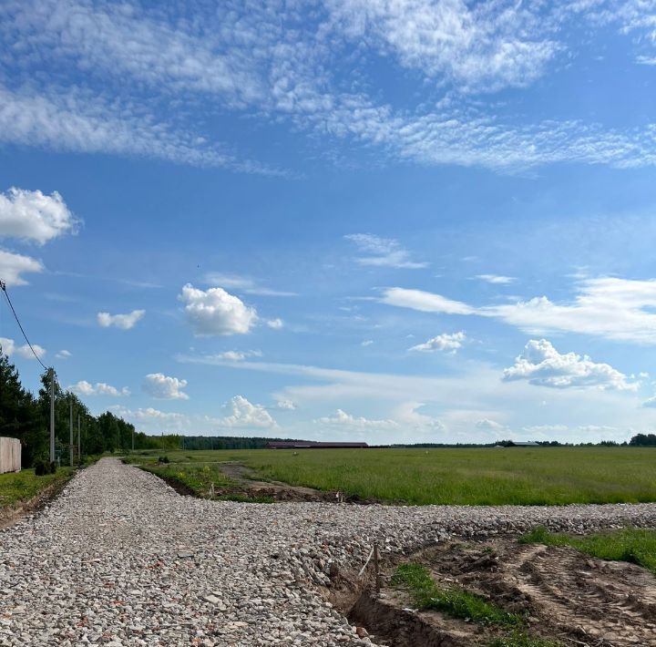 земля городской округ Раменский Давыдово дп фото 2