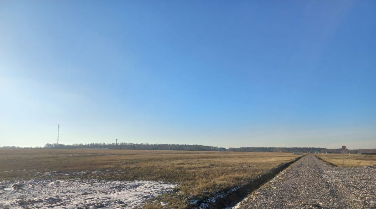 земля городской округ Раменский Давыдово дп фото 3