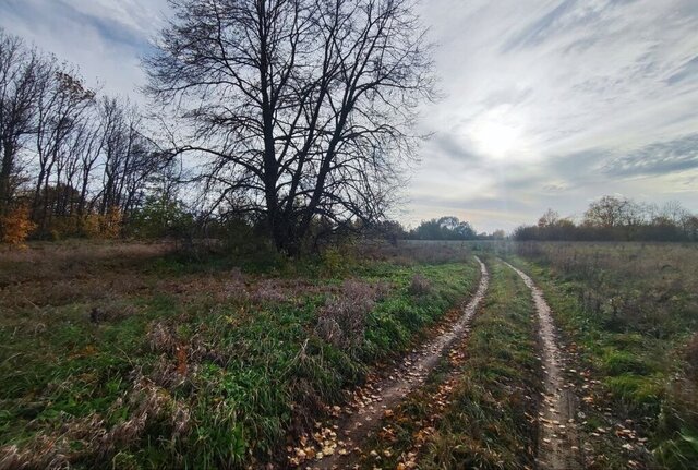 Борковское сельское поселение, деревня Дубровка фото