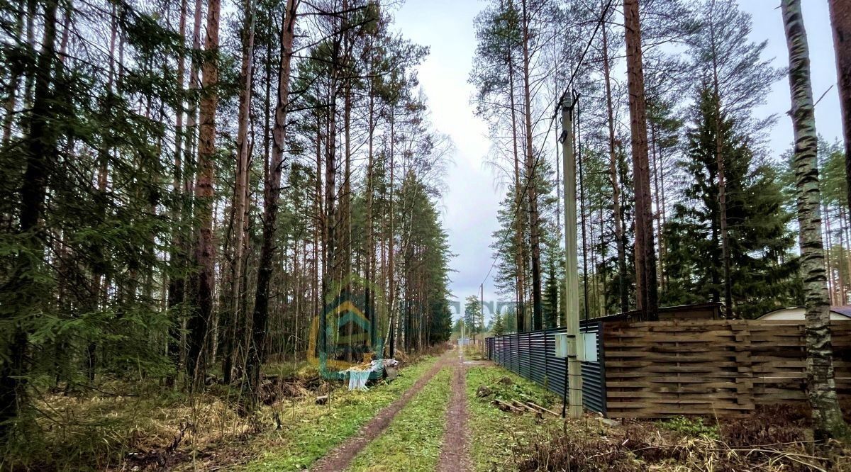 земля р-н Всеволожский г Всеволожск Солнечный Бор кп, ул. Дальняя фото 13