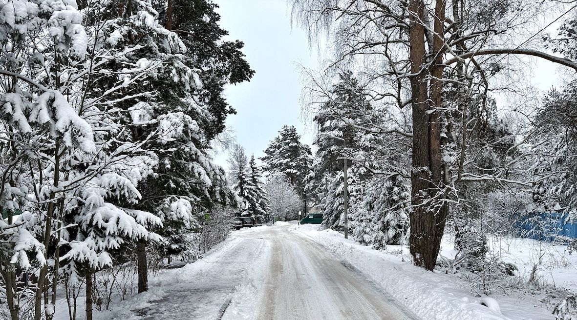 земля городской округ Истра с Новопетровское фото 1