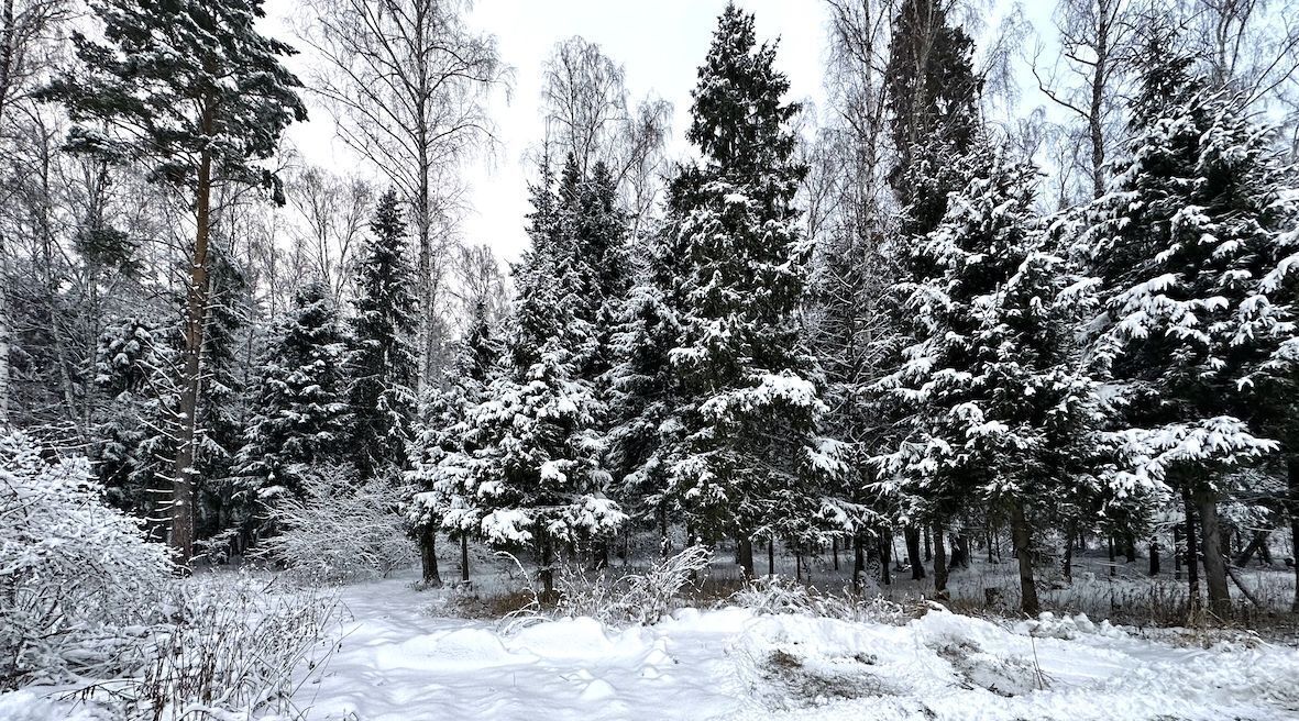 земля городской округ Дмитровский д Удино Лобня фото 3