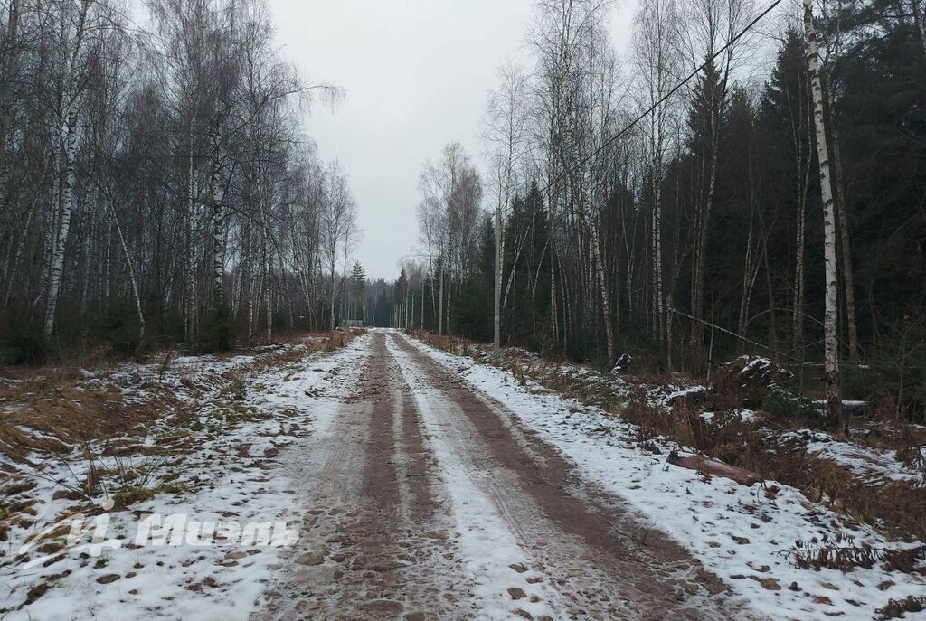 земля городской округ Раменский коттеджный посёлок Гжельский лес фото 7