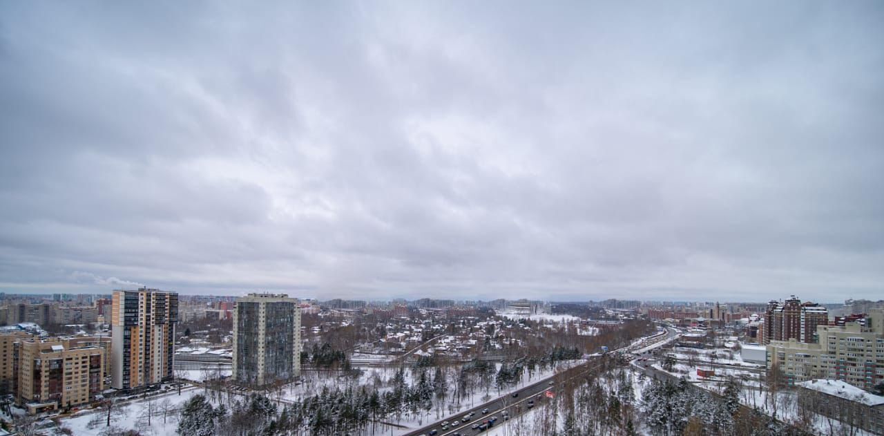 квартира г Санкт-Петербург метро Озерки пр-кт Тореза 118 фото 14