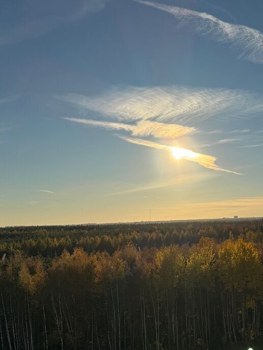 квартира г Санкт-Петербург метро Комендантский Проспект ул Плесецкая 2 фото 9