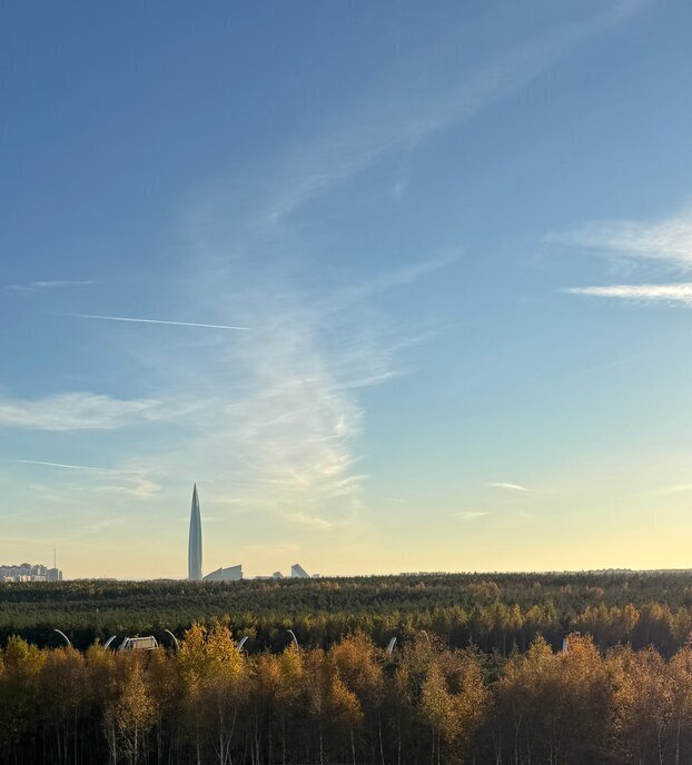 квартира г Санкт-Петербург метро Комендантский Проспект ул Плесецкая 2 фото 10