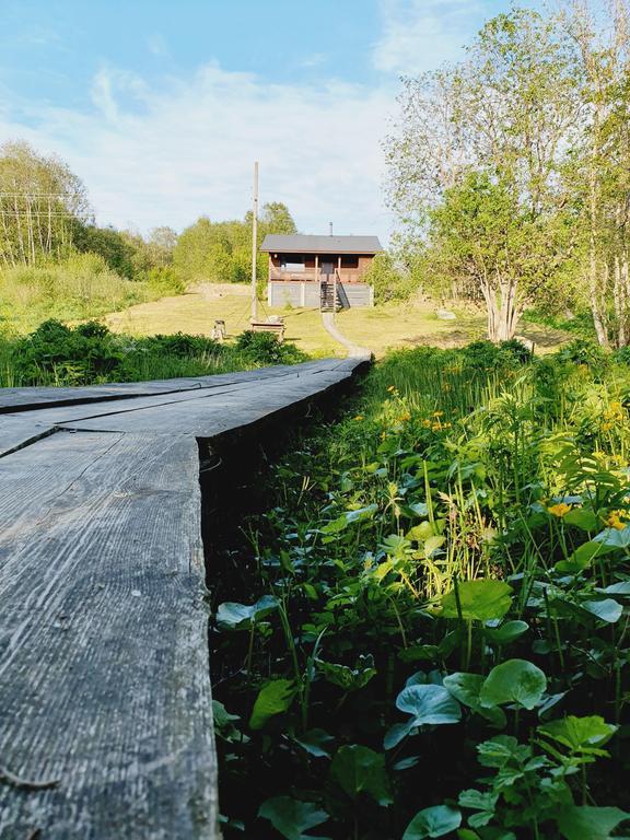 дом р-н Медвежьегорский д Лонгасы д. 32А фото 31