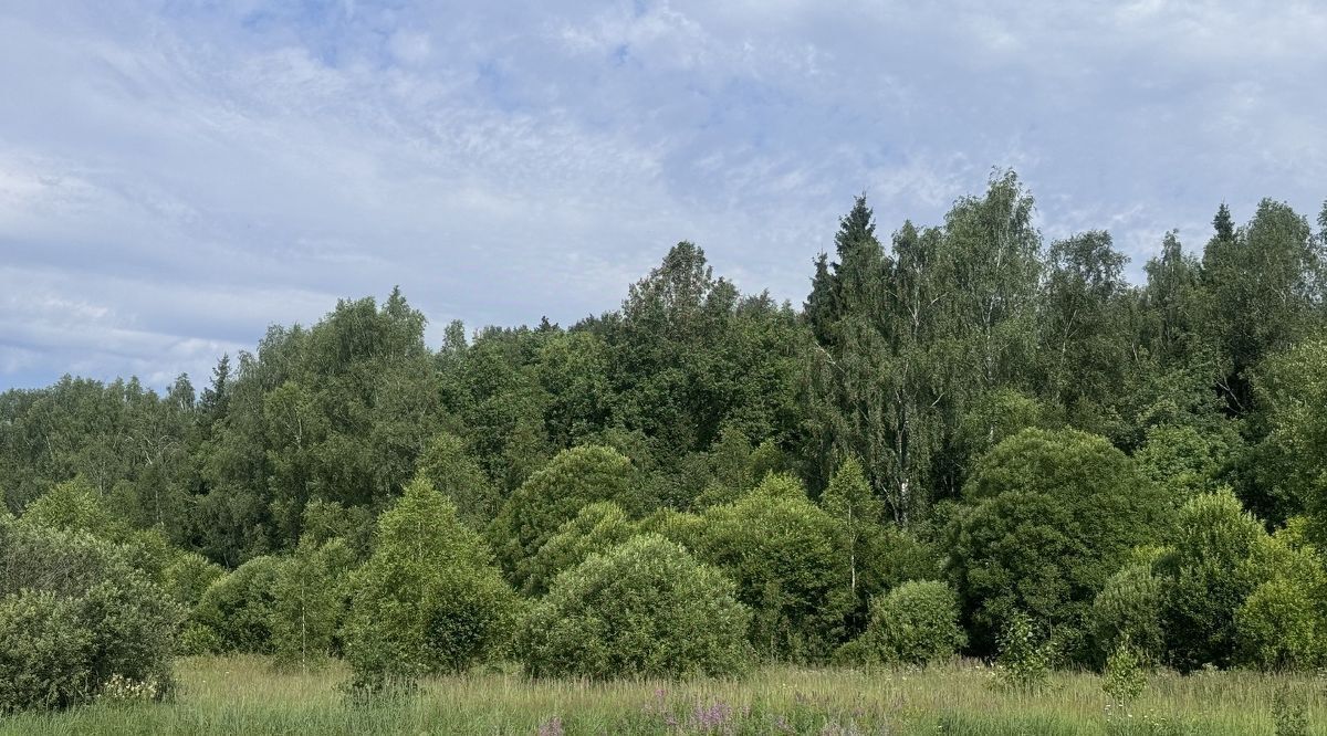 земля г Воскресенск снт Прибор Апрелевка, Наро-Фоминский городской округ фото 2