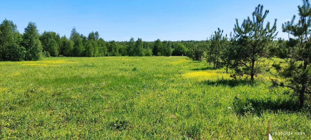 земля г Москва п Первомайское ТиНАО Елизарово, 78, Московская область, городской округ Истра, Троицк фото 26