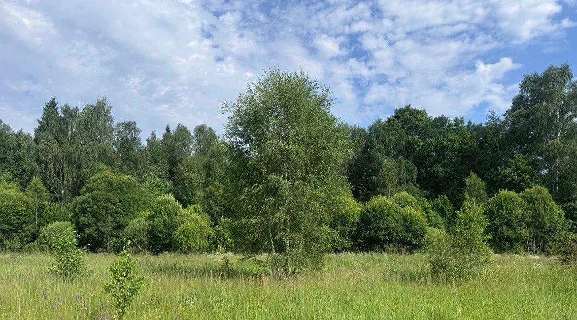 дом г Воскресенск снт Прибор Апрелевка, Наро-Фоминский городской округ фото 10