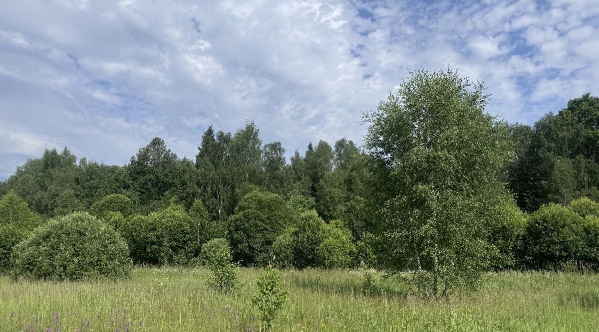 земля г Воскресенск снт Прибор Апрелевка, Наро-Фоминский городской округ фото 13