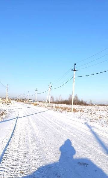 земля р-н Новосибирский п Воробьевский сельсовет, Сочи кп, Кудряшовский фото 4