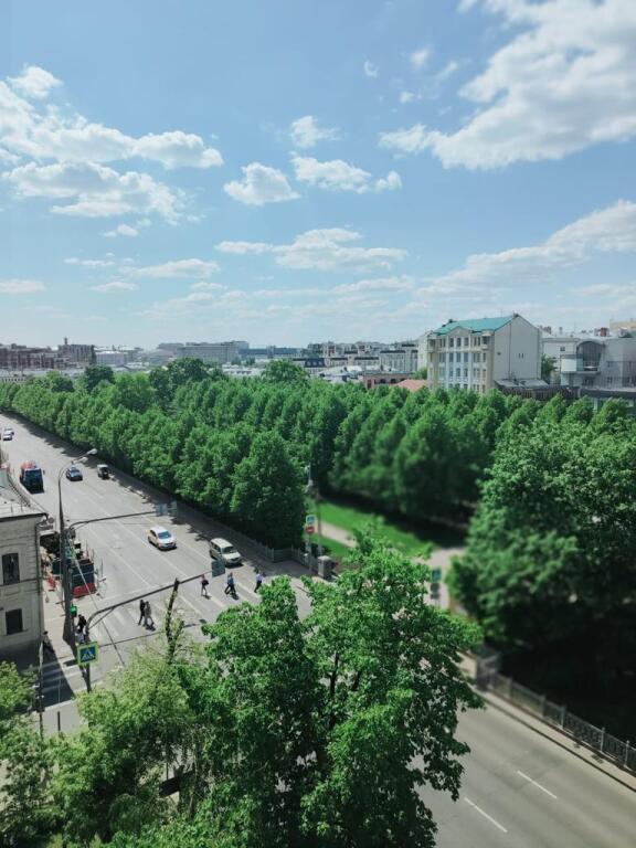 квартира г Москва б-р Цветной 20/1 муниципальный округ Мещанский фото 3