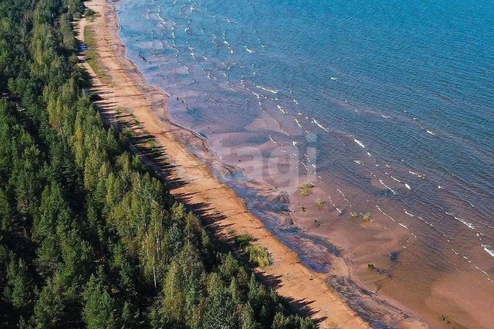 земля р-н Приозерский фото 1