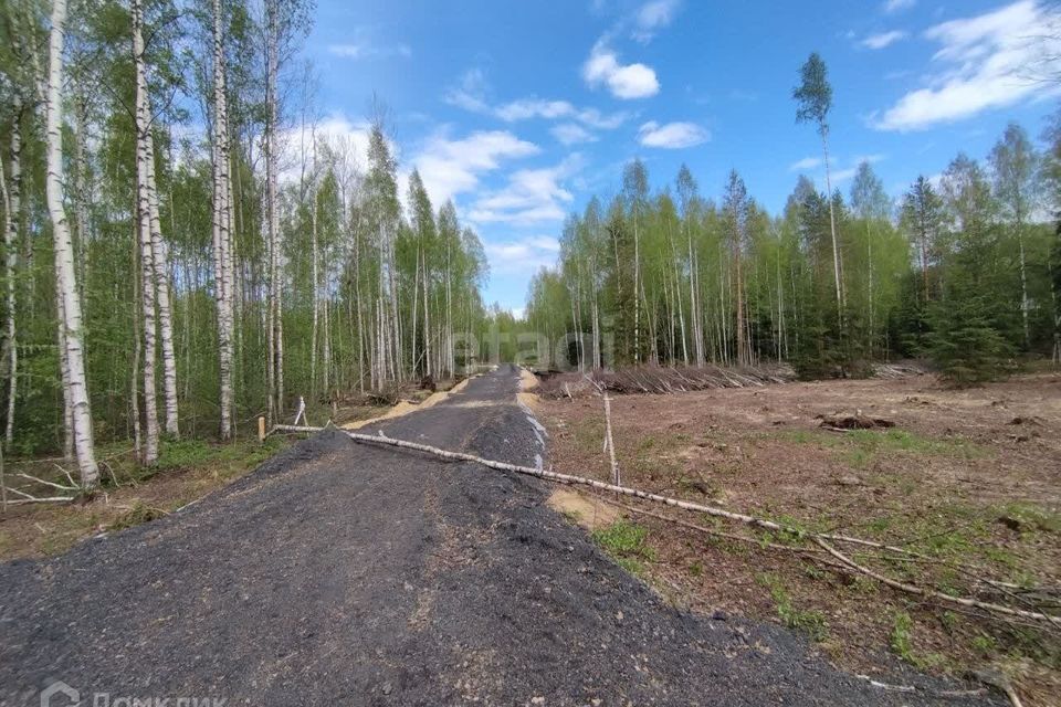 земля р-н Всеволожский д. Лехтуси фото 1