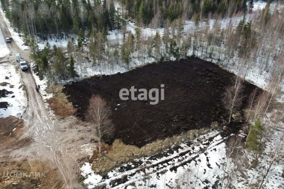 земля р-н Гатчинский д. Вайялово фото 1