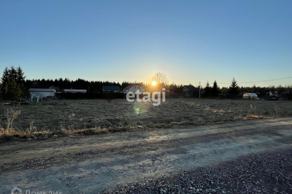 земля р-н Тосненский городской пос. Форносово фото 1