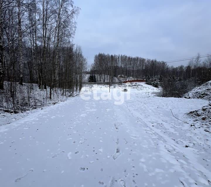 земля р-н Всеволожский д Канисты 31 фото 4