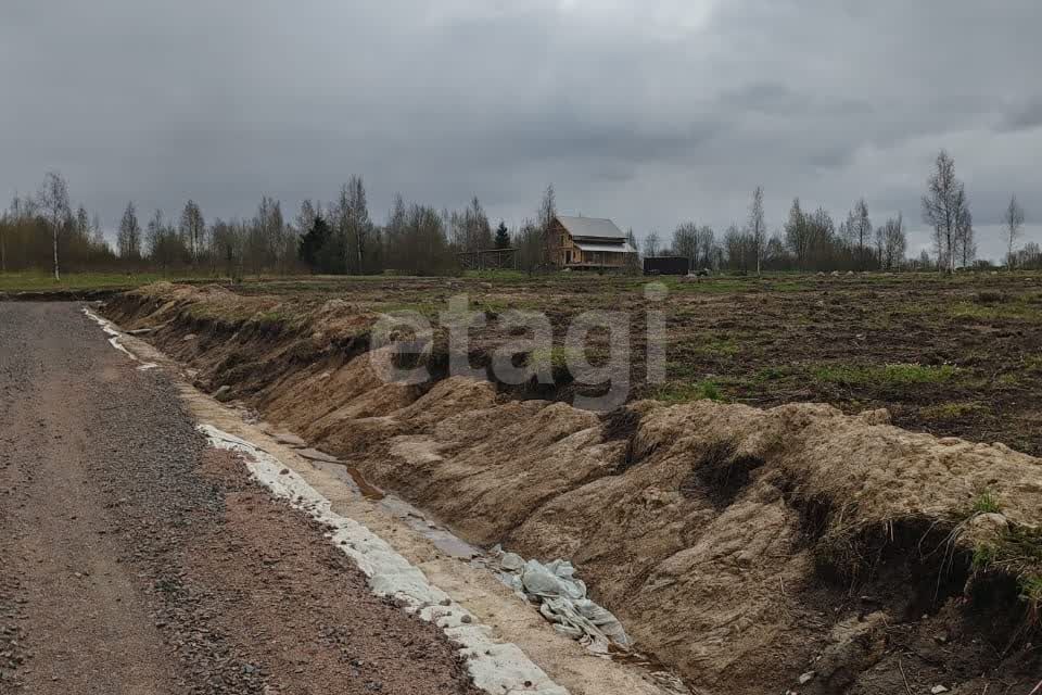 земля р-н Всеволожский Ойнелово фото 3