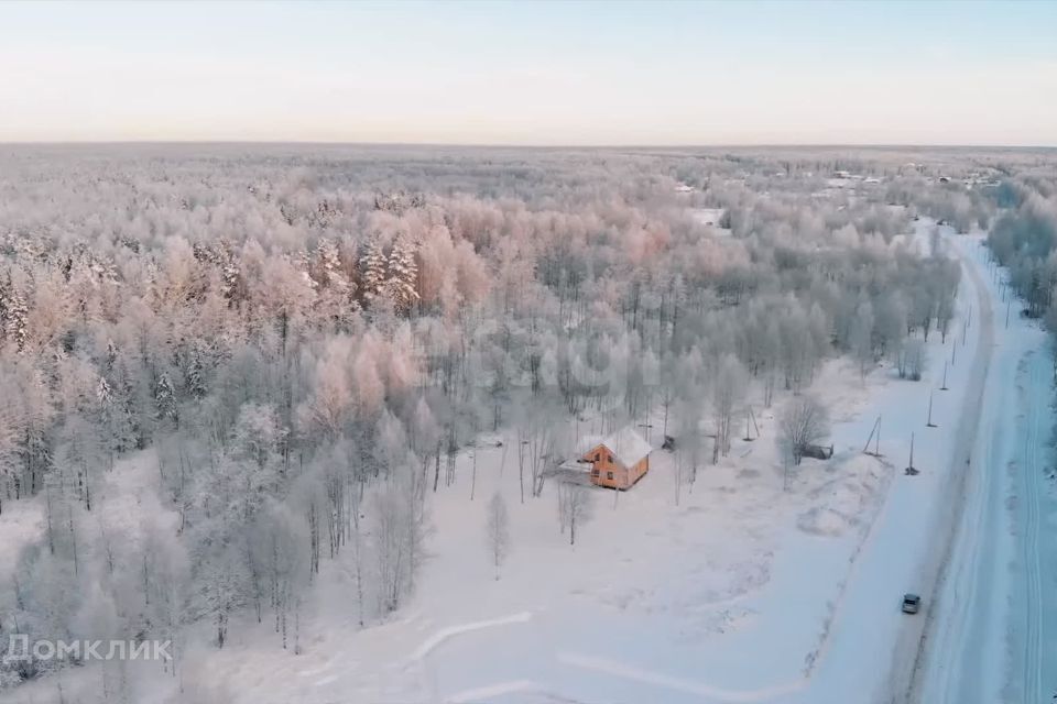 земля р-н Всеволожский Синицыно фото 2