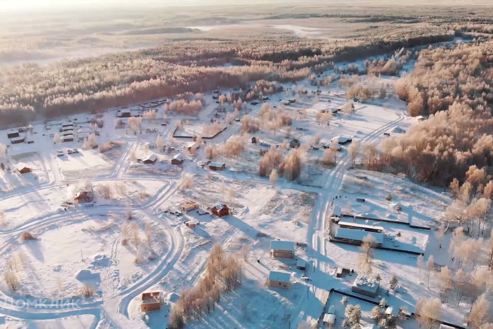 земля р-н Всеволожский Синицыно фото 4