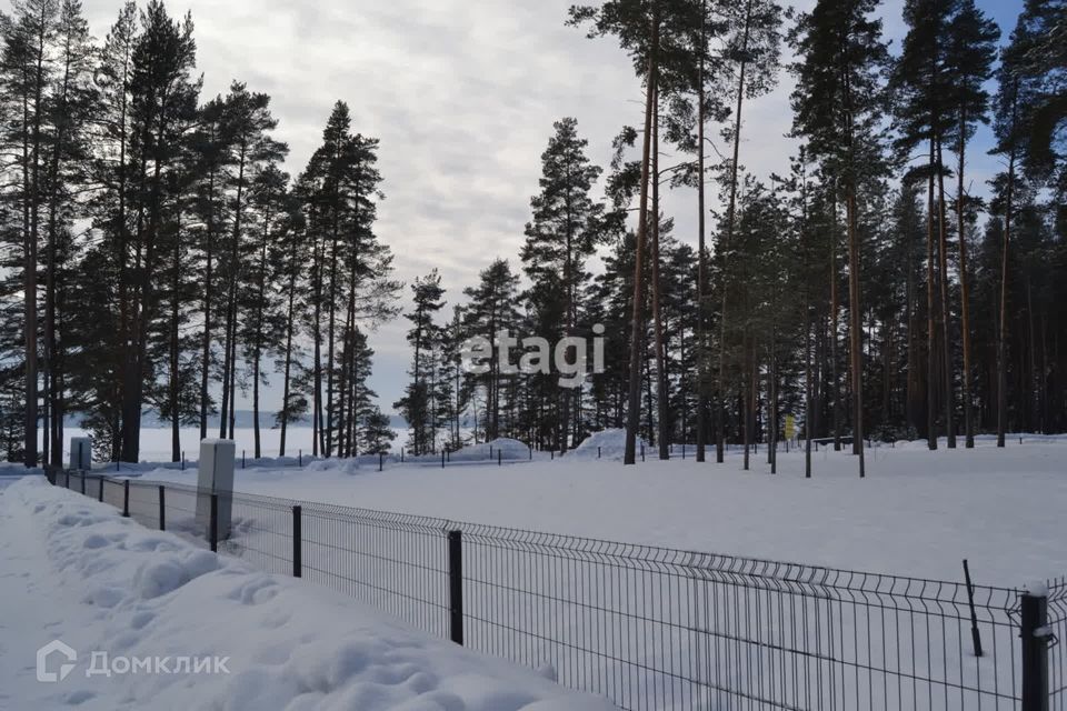 земля р-н Приозерский фото 9