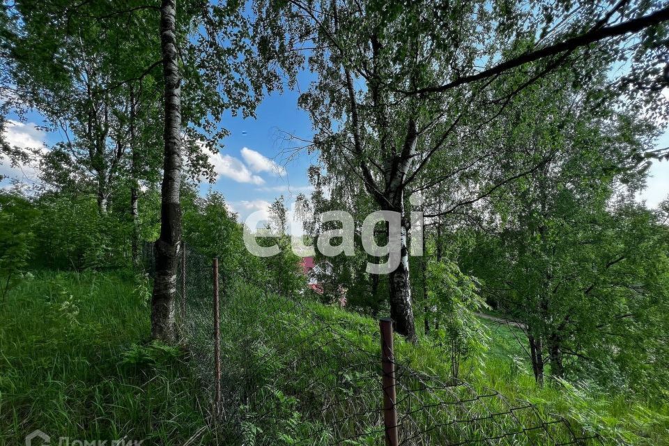 земля р-н Всеволожский снт Вирки-2 62 фото 8