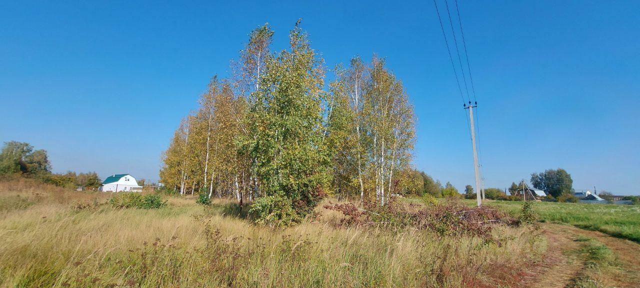 земля городской округ Раменский д Торопово 71, Бронницы фото 14