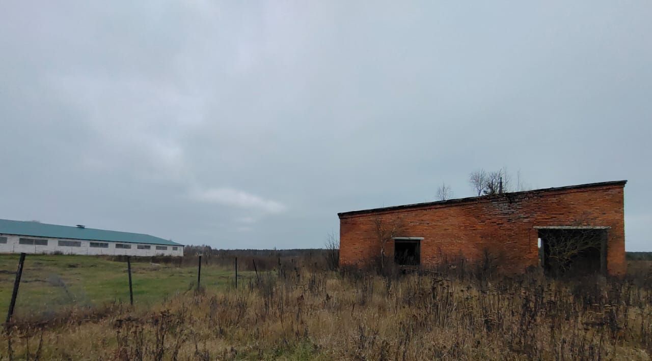 производственные, складские р-н Думиничский д Высокое фото 30