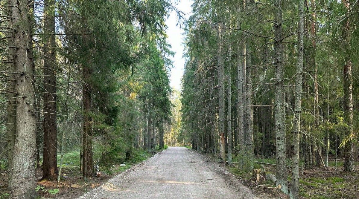 земля р-н Выборгский Полянское с/пос, Полянское Предместье СНТ фото 12