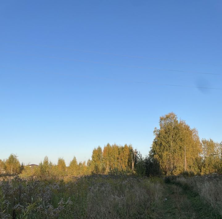 дом р-н Кстовский с Слободское Бор городской округ фото 10