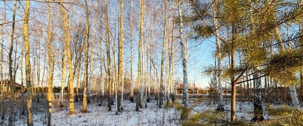 земля р-н Тюменский Новокаменский кп, пер. Ломоносова, 3 фото 13