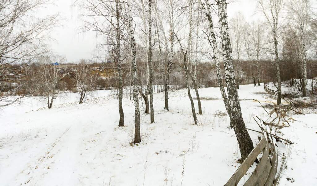 дом р-н Тюменский с Луговое ул Зоологическая фото 28