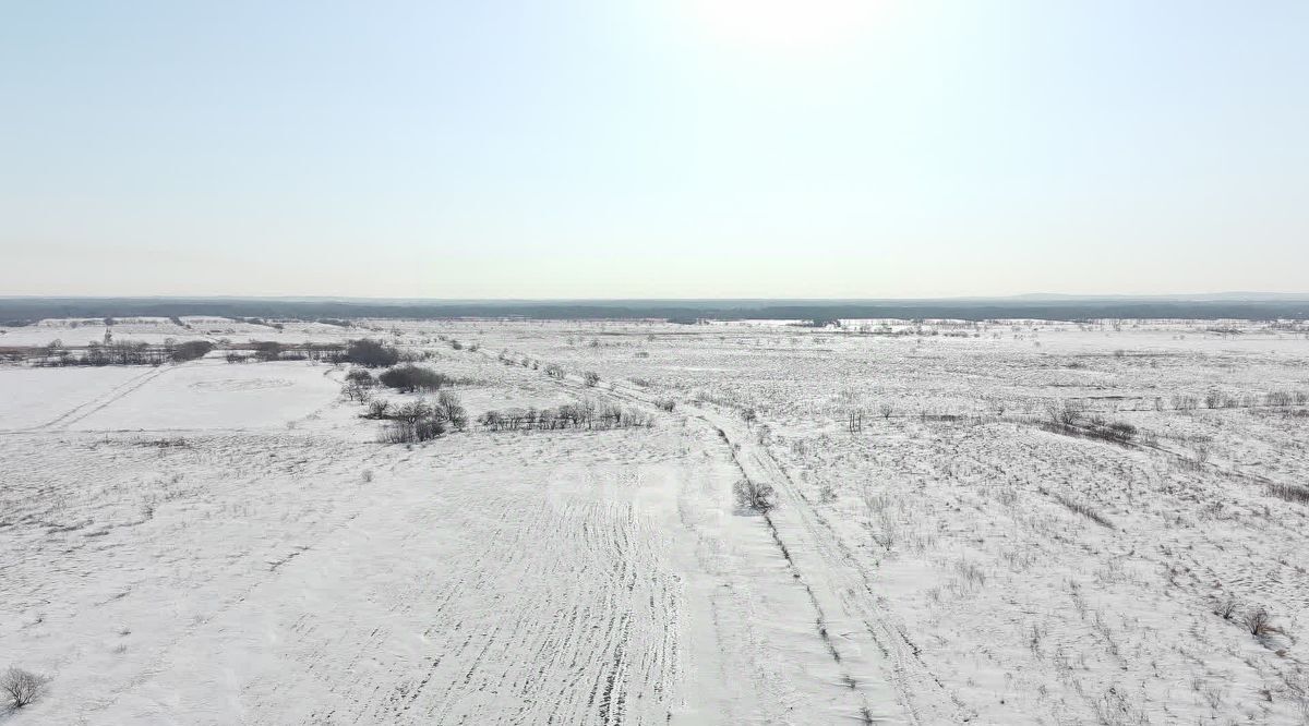 земля р-н Хабаровский с Чистополье ул Центральная 2 фото 12