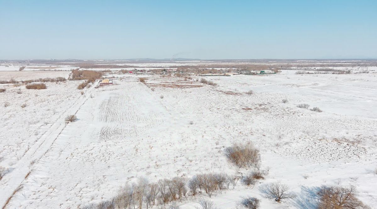 земля р-н Хабаровский с Чистополье ул Центральная 2 фото 17