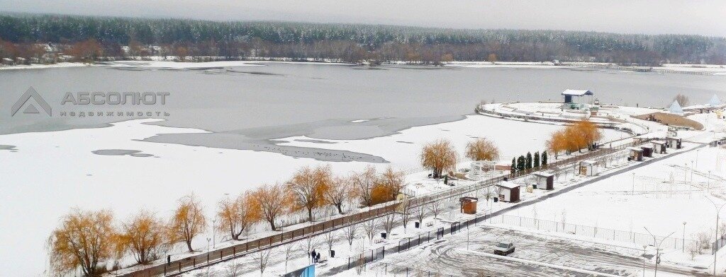 квартира р-н Пензенский с Засечное б-р Прибрежный 3 фото 8