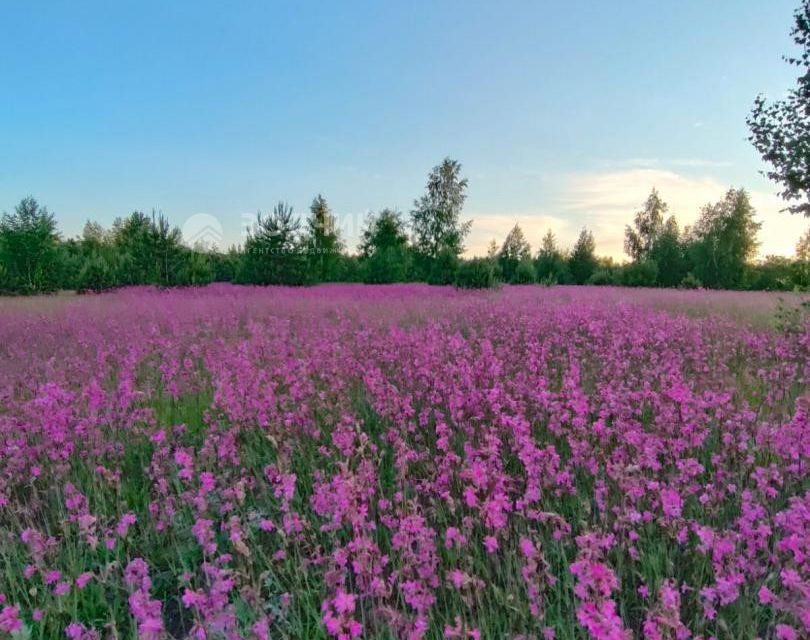 земля р-н Звениговский деревня Иванбеляк фото 2