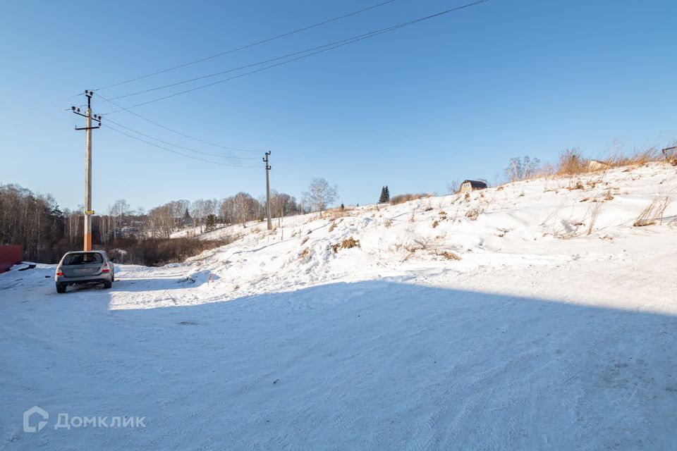 земля р-н Новосибирский с Барышево Орловка фото 2